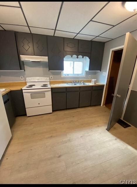 kitchen with white electric range oven, a drop ceiling, sink, and light hardwood / wood-style flooring