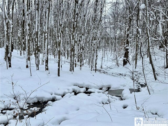 Hopkins Rd, Ellington NY, 14747 land for sale