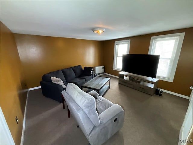 living room featuring carpet floors