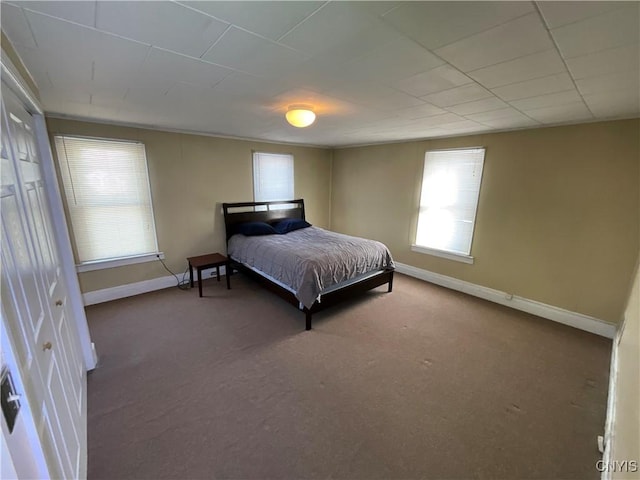 bedroom with carpet floors