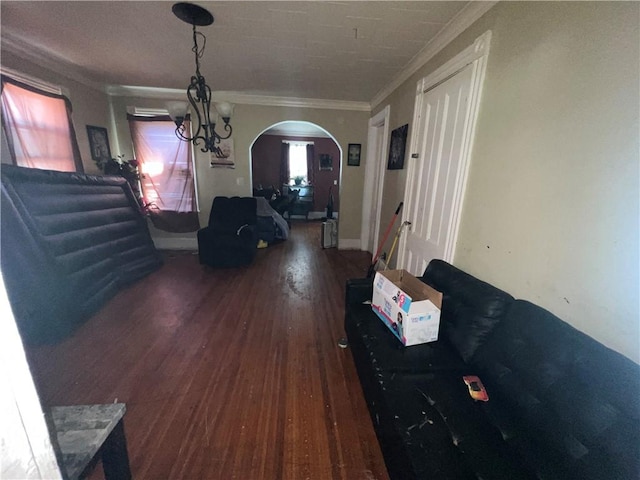 living room with a notable chandelier, dark hardwood / wood-style floors, and crown molding