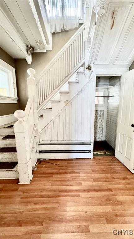 stairs with hardwood / wood-style floors