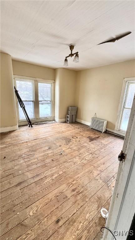 empty room with a wealth of natural light and light hardwood / wood-style flooring