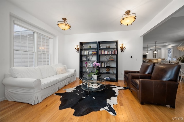 living room with light hardwood / wood-style flooring