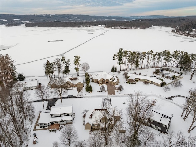 snowy aerial view featuring a mountain view