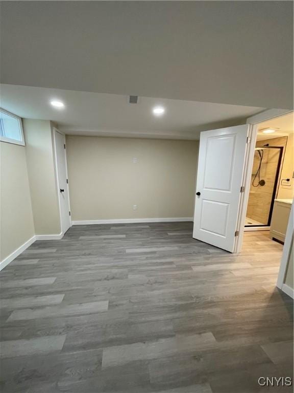 basement featuring wood-type flooring