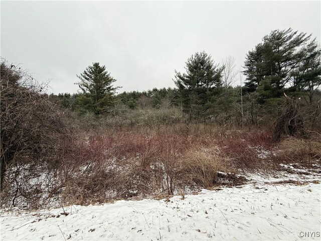170 Fisher Settlement Rd, Spencer, NY 14883 - photo 19