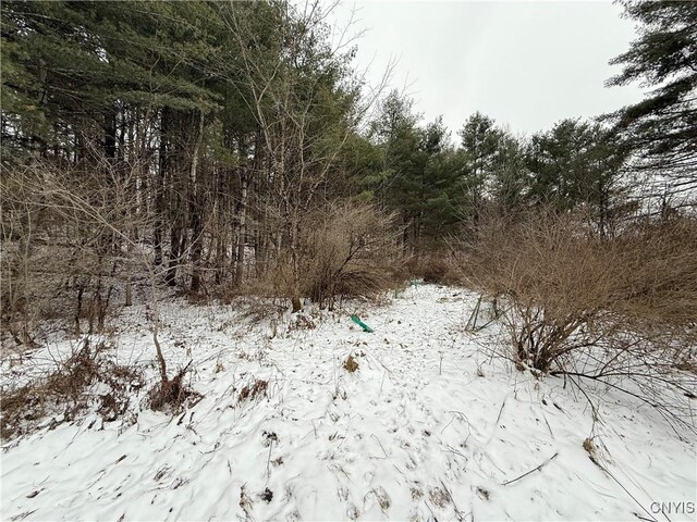 170 Fisher Settlement Rd, Spencer, NY 14883 - photo 21