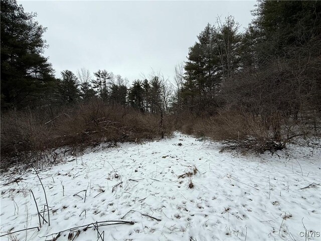 170 Fisher Settlement Rd, Spencer, NY 14883 - photo 20
