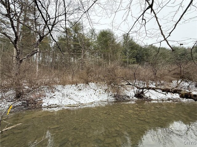 170 Fisher Settlement Rd, Spencer, NY 14883 - photo 22