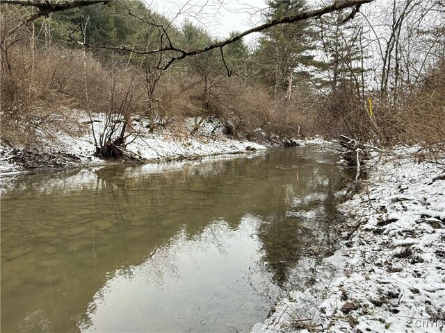 170 Fisher Settlement Rd, Spencer, NY 14883 - photo 23