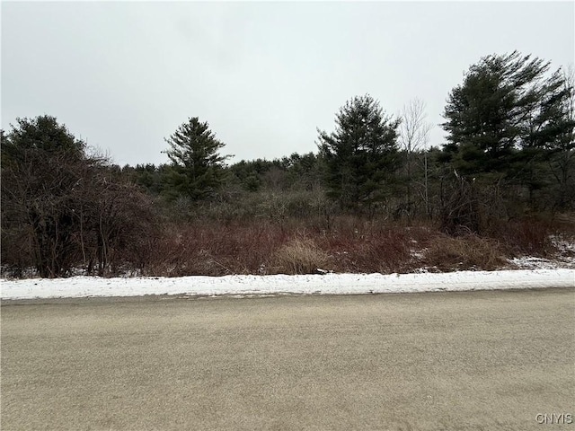 170 Fisher Settlement Rd, Spencer NY, 14883 land for sale