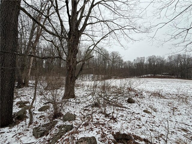 170 Fisher Settlement Rd, Spencer, NY 14883 - photo 26