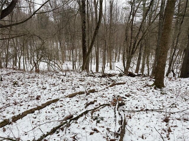 170 Fisher Settlement Rd, Spencer, NY 14883 - photo 30