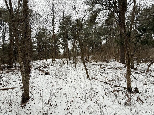 170 Fisher Settlement Rd, Spencer, NY 14883 - photo 31