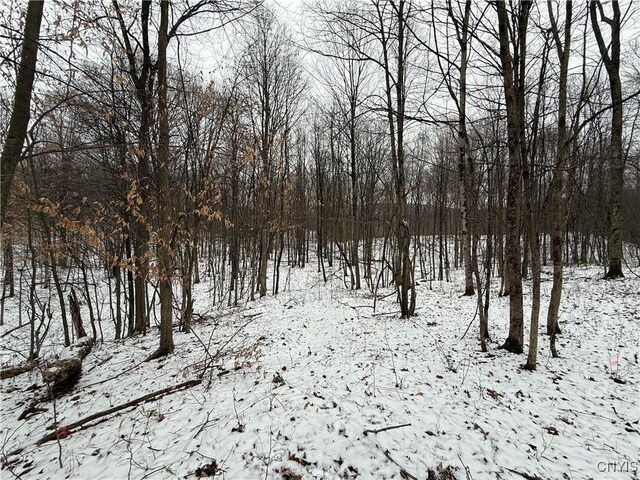 170 Fisher Settlement Rd, Spencer, NY 14883 - photo 35