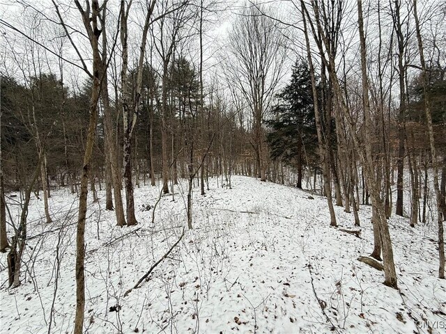 170 Fisher Settlement Rd, Spencer, NY 14883 - photo 36
