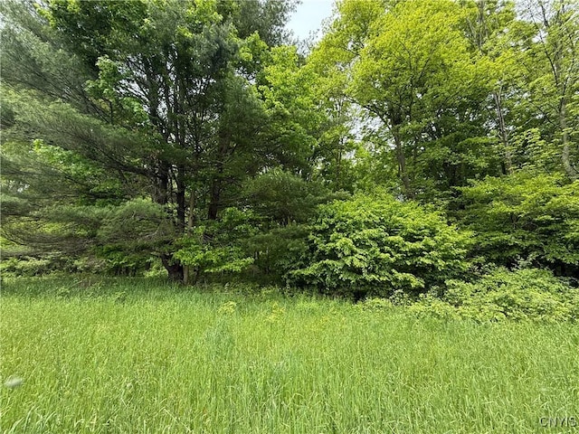 170 Fisher Settlement Rd, Spencer, NY 14883 - photo 4