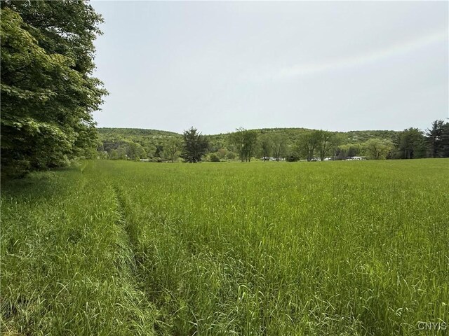 170 Fisher Settlement Rd, Spencer, NY 14883 - photo 5