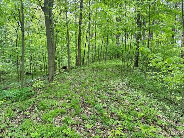 170 Fisher Settlement Rd, Spencer, NY 14883 - photo 7