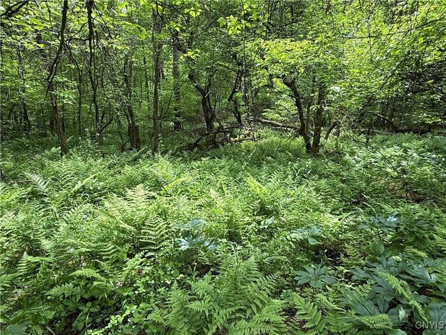 170 Fisher Settlement Rd, Spencer, NY 14883 - photo 9