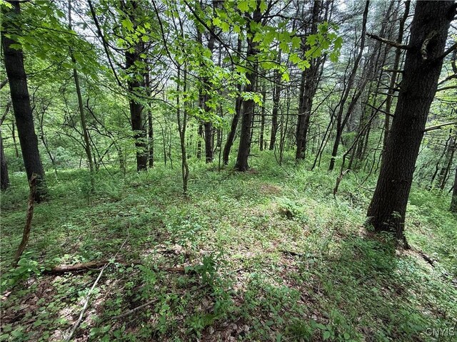 170 Fisher Settlement Rd, Spencer, NY 14883 - photo 11