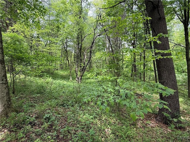 170 Fisher Settlement Rd, Spencer, NY 14883 - photo 12