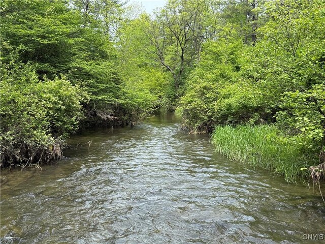 170 Fisher Settlement Rd, Spencer, NY 14883 - photo 15