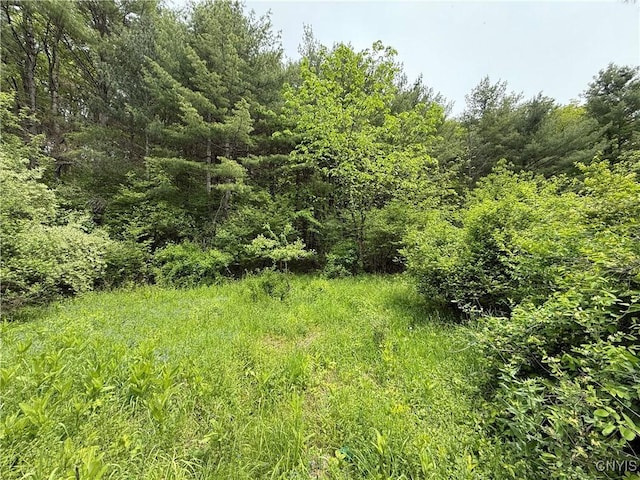 170 Fisher Settlement Rd, Spencer, NY 14883 - photo 16