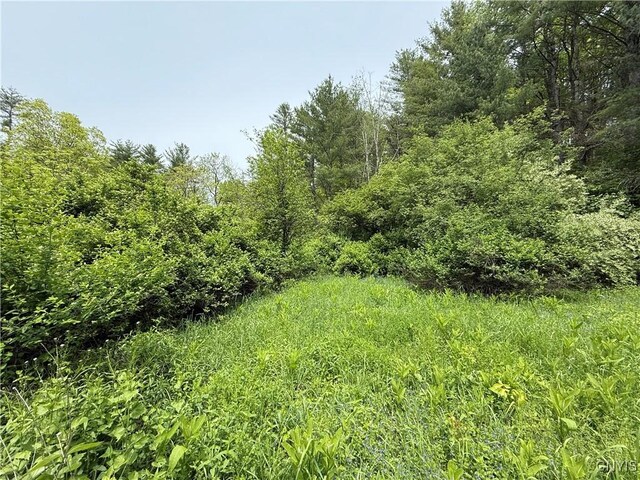 170 Fisher Settlement Rd, Spencer, NY 14883 - photo 17