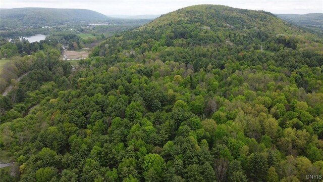 170 Fisher Settlement Rd, Spencer, NY 14883 - photo 3