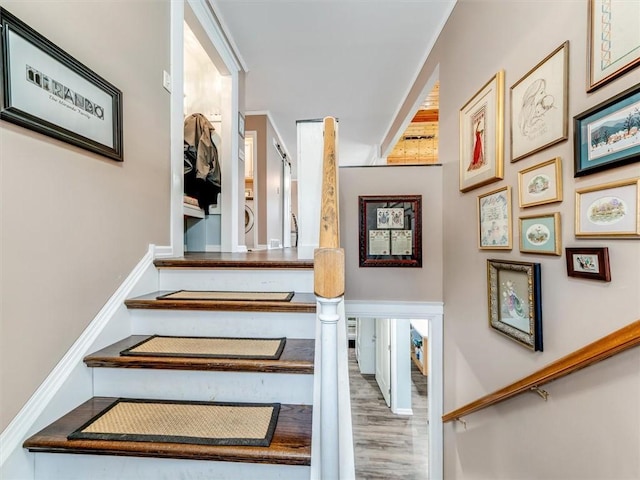 staircase with hardwood / wood-style floors