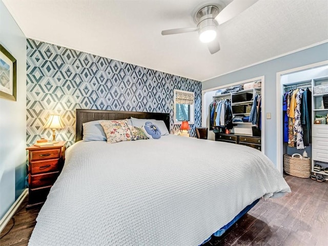 bedroom with ceiling fan, dark hardwood / wood-style flooring, crown molding, and two closets