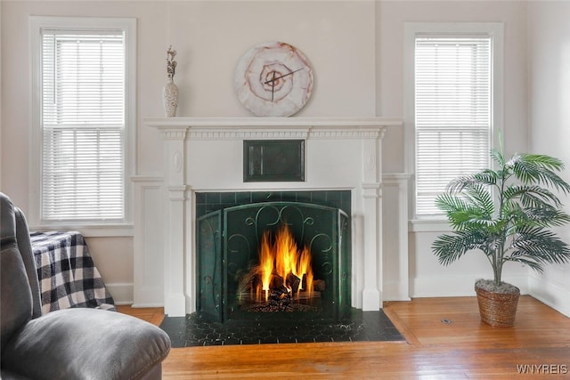 room details with a fireplace with flush hearth