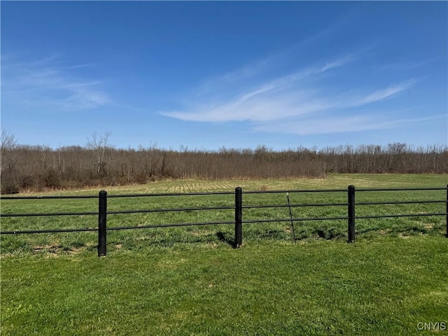 115 Hilltop Dr, Schroeppel, NY 13135 - photo 40