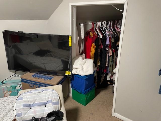 bedroom with carpet floors, a closet, and lofted ceiling