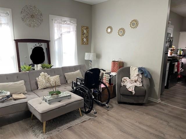 living room featuring light wood-type flooring