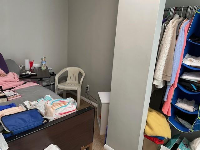 bedroom featuring a closet and carpet floors