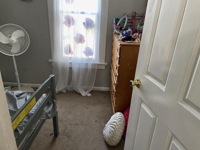 bedroom featuring carpet