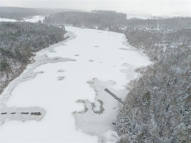 00 Fawn Lake Rd, Addison, NY 14801