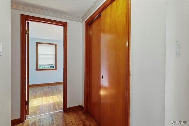 hall featuring wood-type flooring