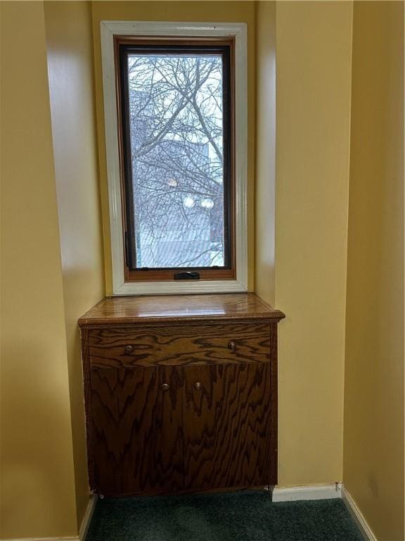 interior details with carpet flooring