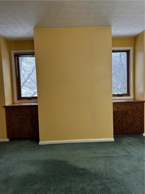 carpeted empty room with plenty of natural light and a textured ceiling