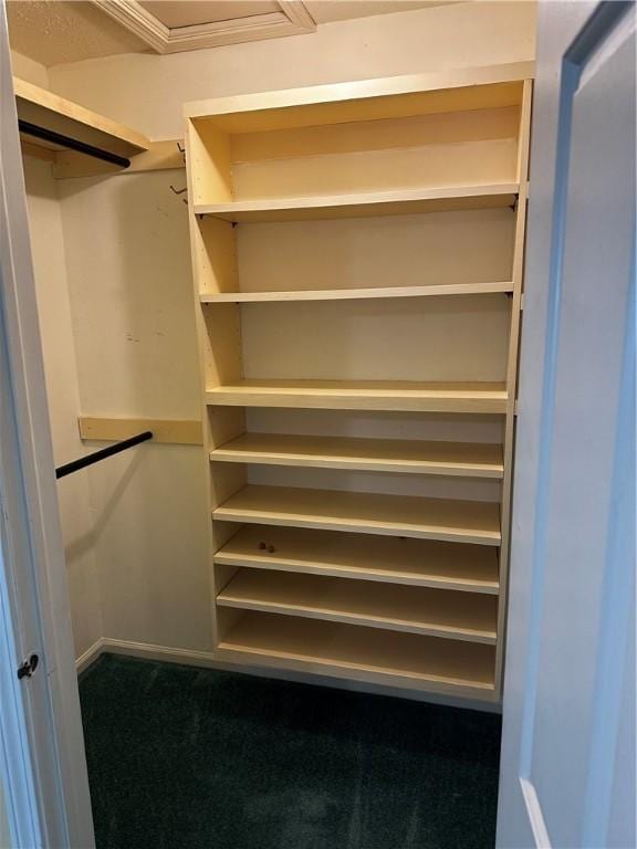 walk in closet featuring carpet flooring