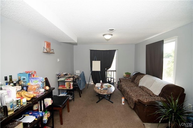 living room featuring carpet and a textured ceiling