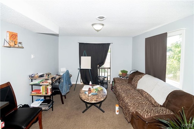 living room featuring carpet flooring and a textured ceiling