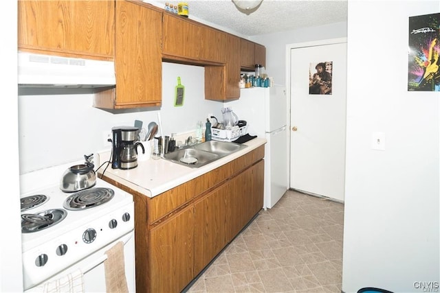 kitchen with a textured ceiling, white appliances, sink, and exhaust hood