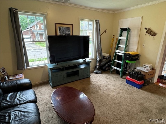 living room featuring carpet flooring, a wealth of natural light, and ornamental molding