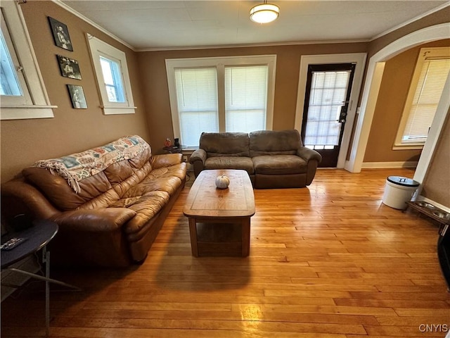 living room featuring light hardwood / wood-style flooring and crown molding