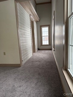 corridor with crown molding and light colored carpet